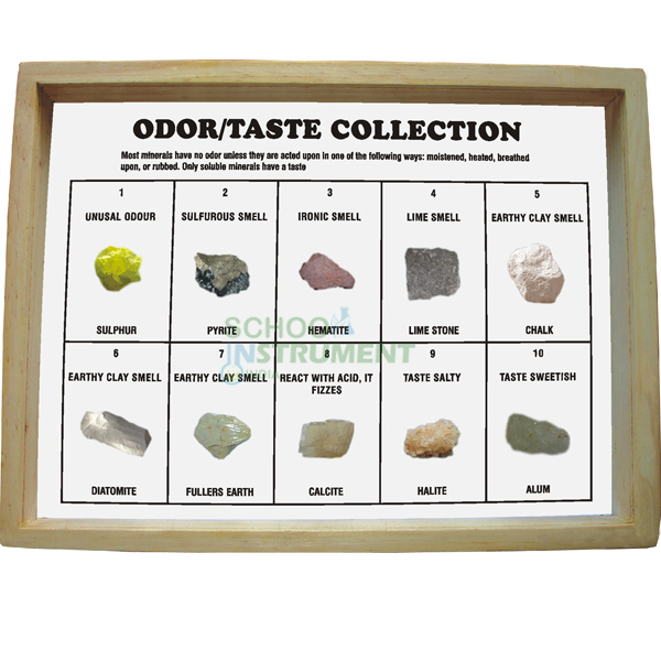 Odor/Taste Collection